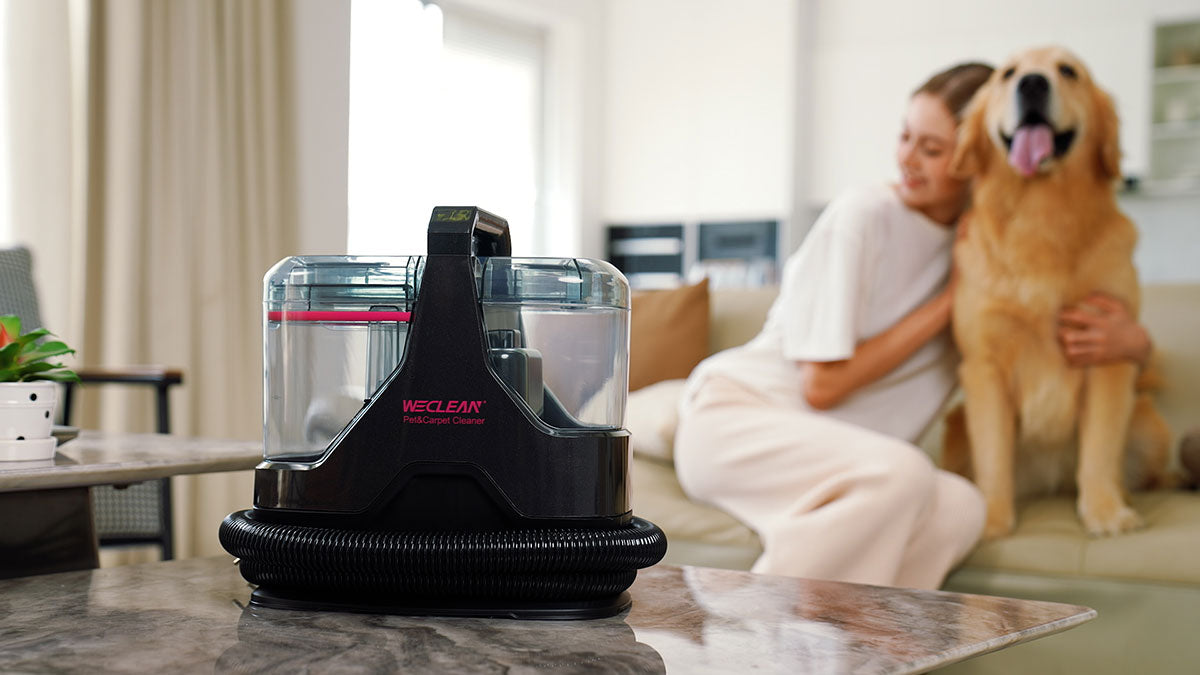 Екстрактор за пране WECLEAN C3 600W – Прахосмукачка за тапицерии и килими